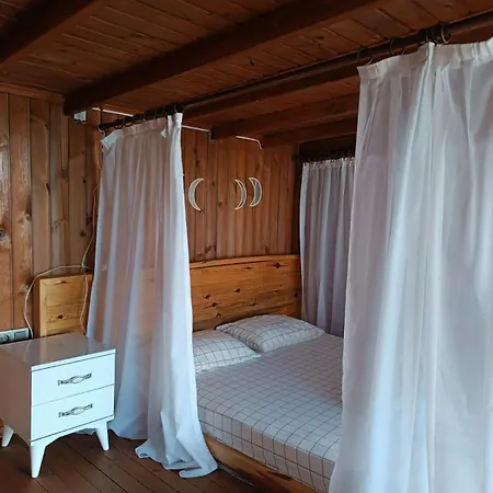 Flamingo Aura Дом отдыха *